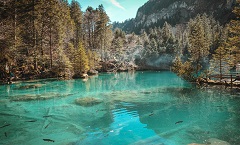 杭州丹雪土建有限公司